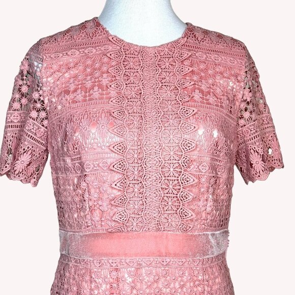 Rachel Parcell Pink Bride Lace Crochet Dress Womens M Coquette Legally Blonde‎ - Picture 3 of 15